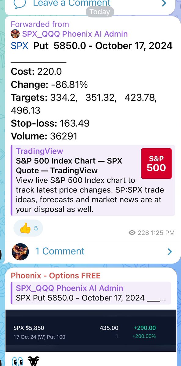 DTConsultations's tweet photo. #SPX as usual
SPX put 250%+
SPX call 100%+
SPX put 350%+
#phoenix_options_AI #phoenix_gamma_gex #elite_indicators_vip https://t.co/is76XSwaI3