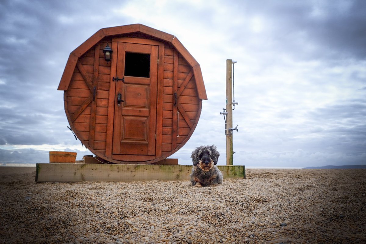 Wally Bobbers 💜 tweet media