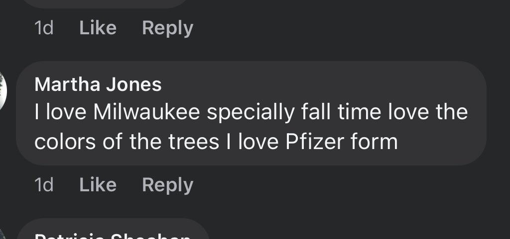 grodysauceman's tweet photo. pfizer form https://t.co/NI9FrWaDlt