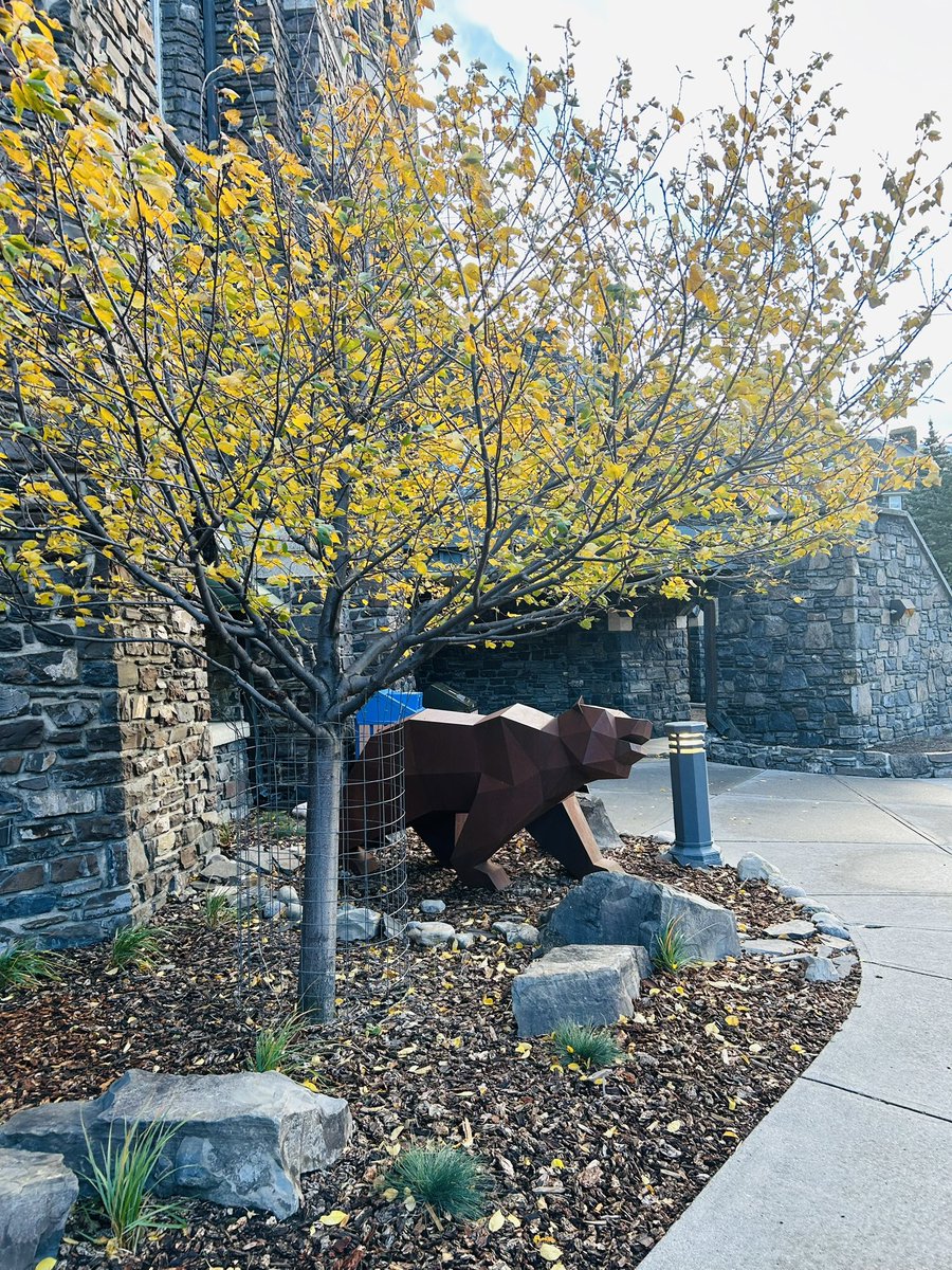 ConnieVitello's tweet image. First snow in beautiful #Banff at #RemTech! Thanks to @ESAARemTech for an excellent conference experience. Event highlights coming soon to EnvironmentJournal.ca.

#environment #events