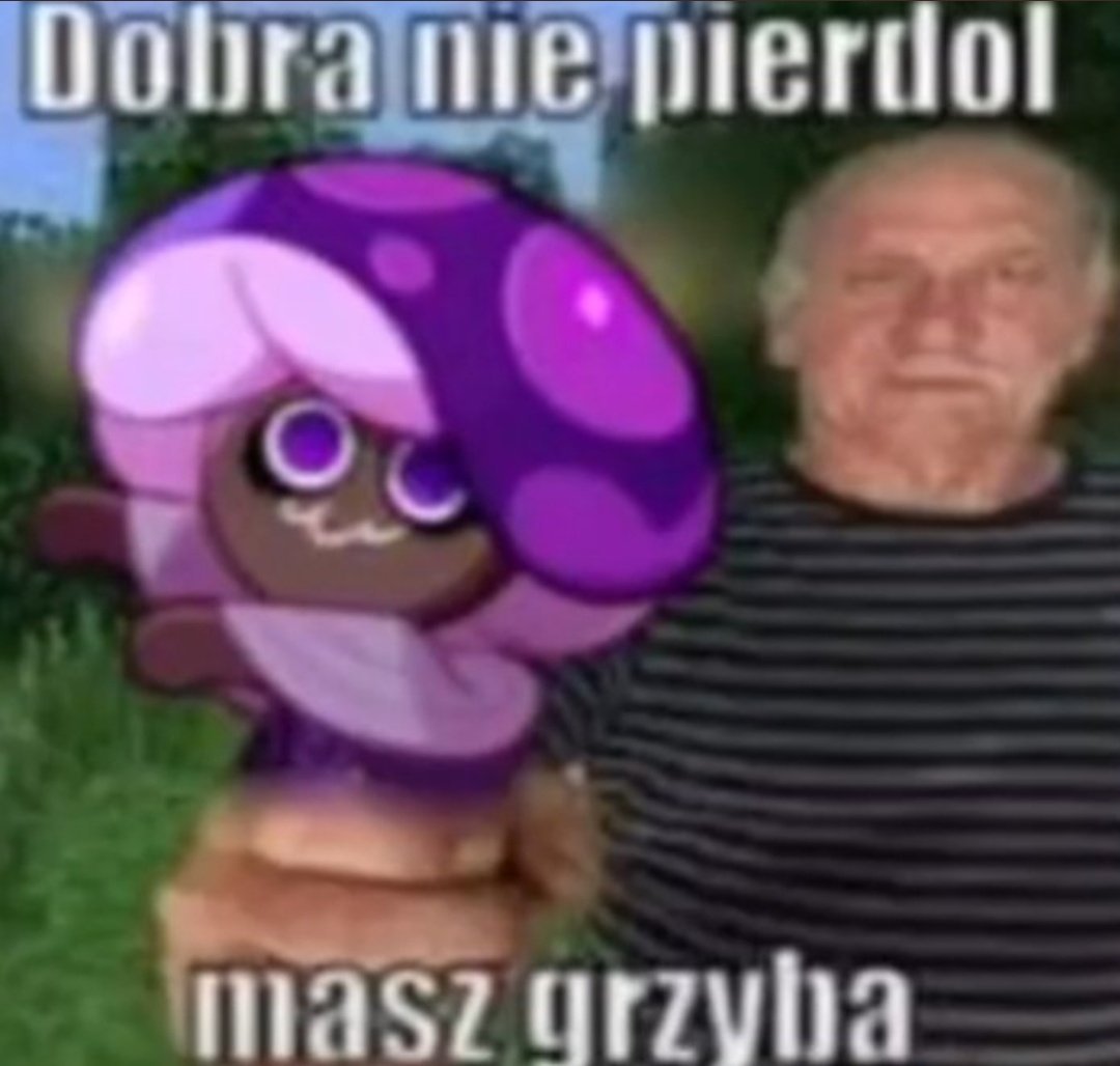 Catafallque_42's tweet photo. Dziękuje ci cookie run https://t.co/adWJd8CPIu
