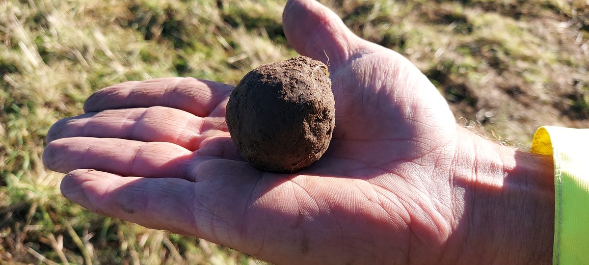 Borders Heritage (@bordersheritage) on Twitter photo Day 4 at #Culloden2024 with <a href="/NTS_archaeology/">NTS Archaeologist</a> and <a href="/ProfTonyPollard/">Tony Pollard</a>. We're finding a good number of musket balls and some pistol shot, buttons and coins in the large trenches. Here's Kaitlyn and David with today's possible grapeshot or chain shot. An incredible find! #Archaeology Day 4 at #Culloden2024 with <a href="/NTS_archaeology/">NTS Archaeologist</a> and <a href="/ProfTonyPollard/">Tony Pollard</a>. We're finding a good number of musket balls and some pistol shot, buttons and coins in the large trenches. Here's Kaitlyn and David with today's possible grapeshot or chain shot. An incredible find! #Archaeology