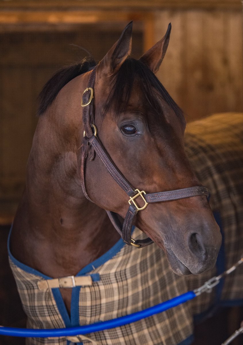 Mary Eddy🏇🏼 tweet media