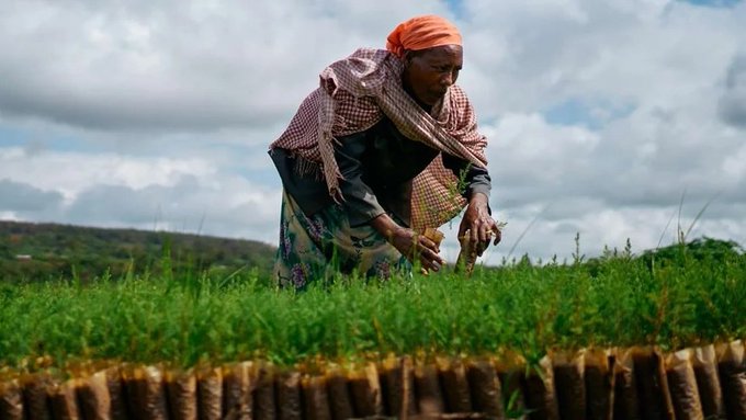 Hey guys I'm still farming $ZAAR 
I hope you're still on #ZAAR 
Comment SEND $ZAAR Lets farm together 
<a href="/Ordzaar/">Ordzaar</a>  <a href="/OdinSwap/">OdinSwap</a>