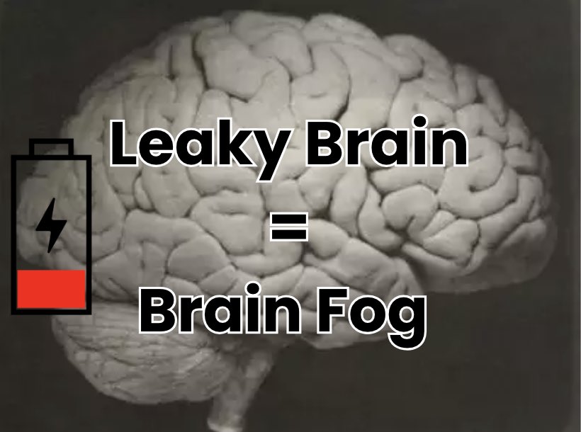 Everyone knows how terrible leaky gut is but nobody talks about how detrimental LEAKY BRAIN is 🧠😶‍🌫️

Here’s how to banish leaky brain and kiss brain fog, poor focus, and chronic neuroinflammation goodbye once and for all ↓

(You’ll definitely want to BOOKMARK this one)