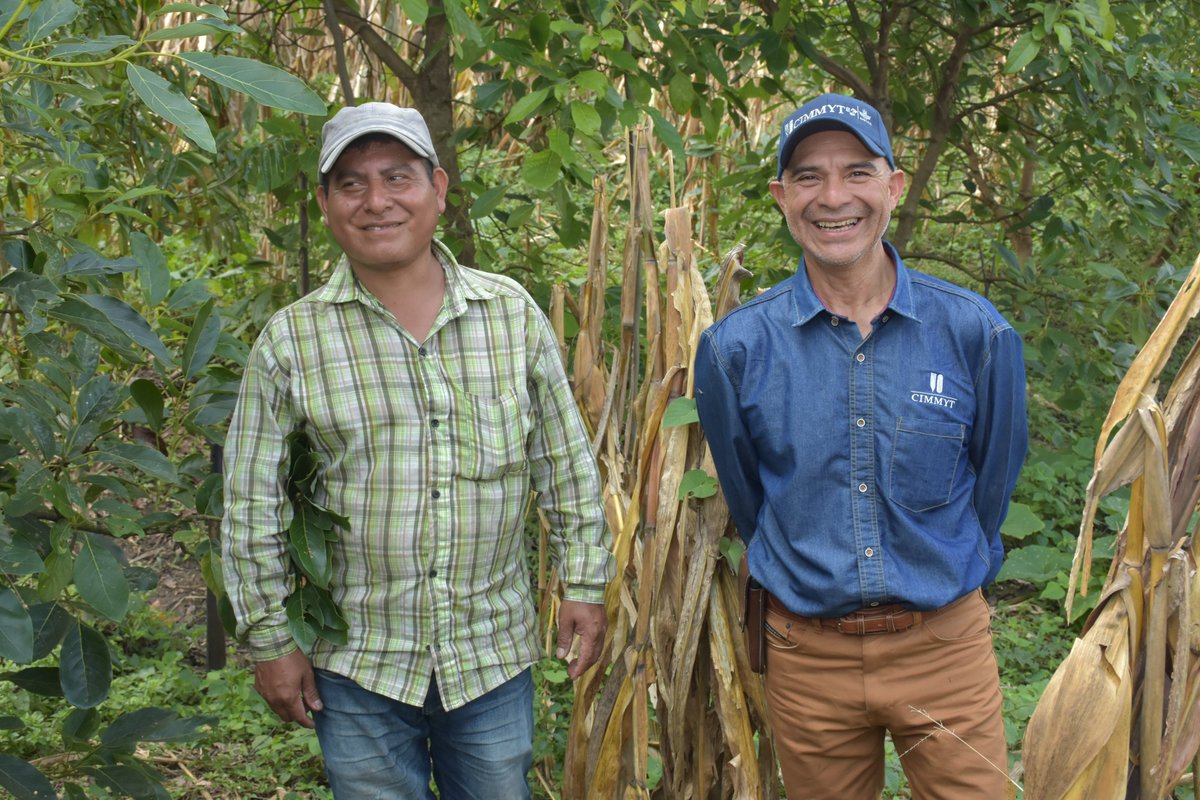 El Hub Chiapas es una red de innovación que une al sector público, agricultores, ONG, empresas y academia para promover la #AgriculturaSostenible. En el Hub Meeting, analizamos experiencias y fortalecemos la colaboración para beneficiar a las y los productores. 🌱🤝 #Innovación
