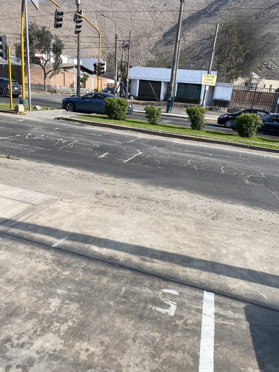 kiara cabrera schmidt tweet media