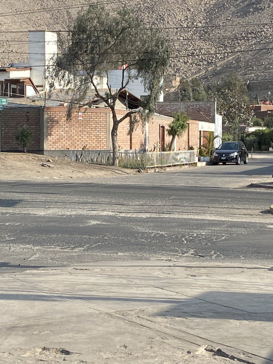 kiara cabrera schmidt tweet media