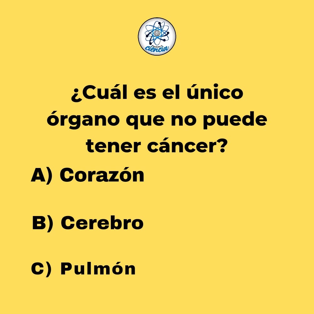 Enséñame de Ciencia tweet media