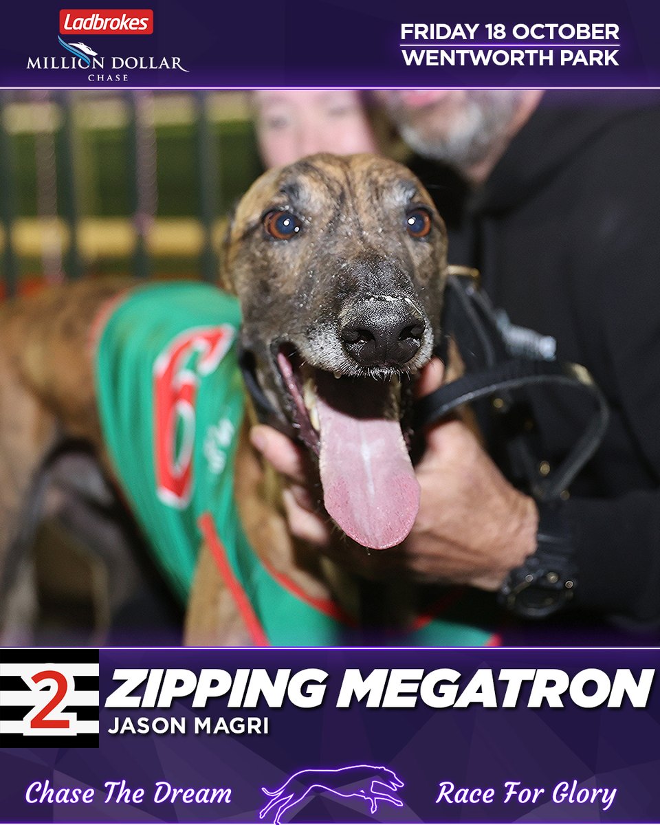 Who wins the 2024 <a href="/ladbrokescomau/">Ladbrokes Australia</a>  #milliondollarchase?

2. Zipping Megatron
#TheHound says: Phenomenal talent and he will scrape the paint, however there is similar pace drawn in the red and he may get crowded early on. Still keep safe.

#thedogs #MDC #greyhoundracing