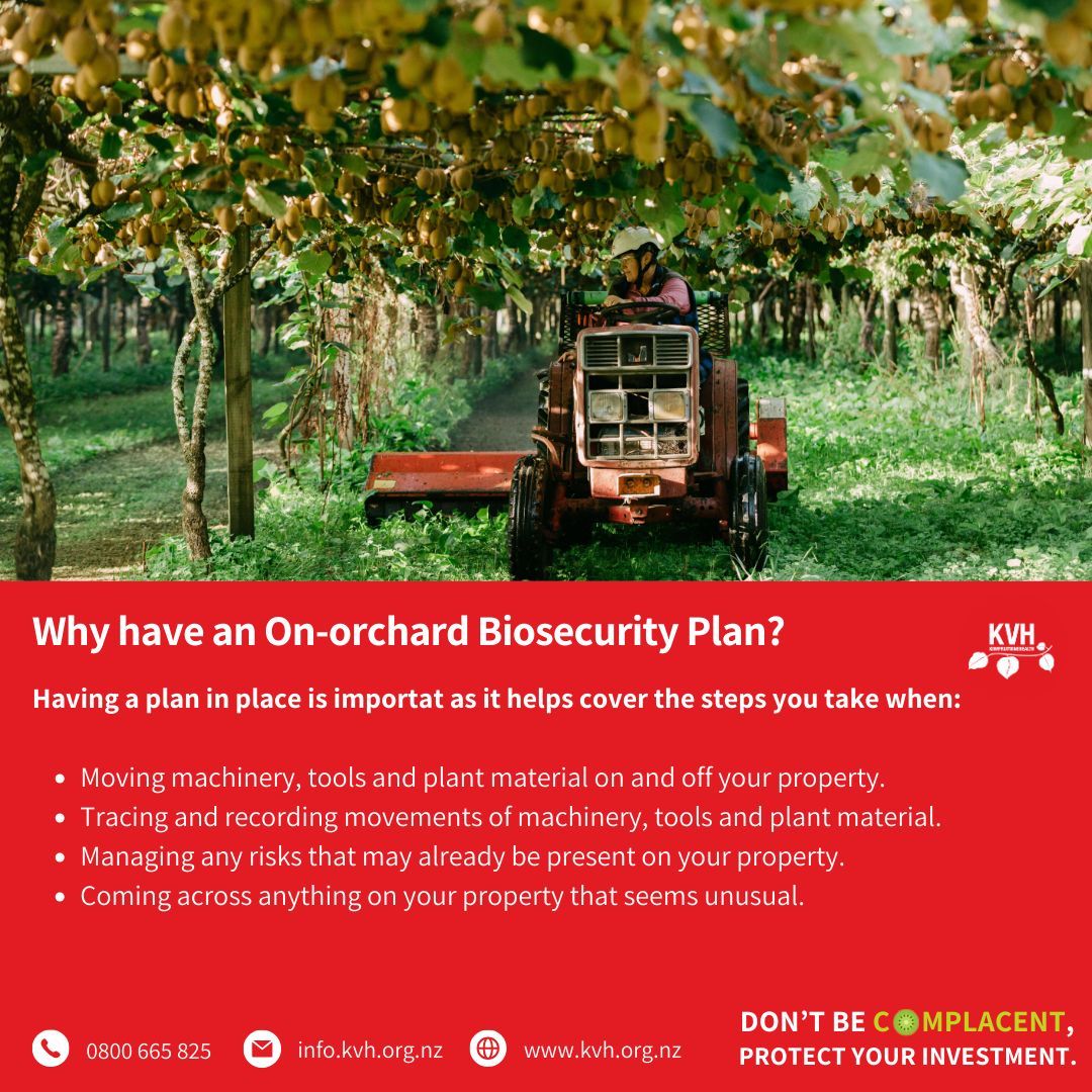 Kiwifruit Vine Health (@kvhnz) on Twitter photo As a grower or person in charge of an orchard, it's important to think about how you can protect your property against pests & diseases. Quick and simple biosecurity actions & practices will help keep your site and future safe.  
Complete your plan now: buff.ly/43km6mj As a grower or person in charge of an orchard, it's important to think about how you can protect your property against pests & diseases. Quick and simple biosecurity actions & practices will help keep your site and future safe.  
Complete your plan now: buff.ly/43km6mj