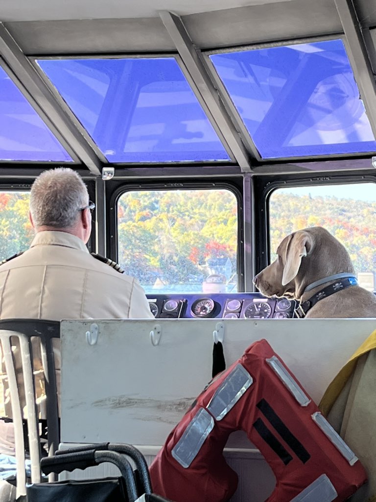 StoiaLu's tweet photo. Gorgeous day on Senaca Lake with lots of travelers leaf peeping and enjoying the Finger Lakes region. #Fall #OperationExplore https://t.co/XcDHa3uqly