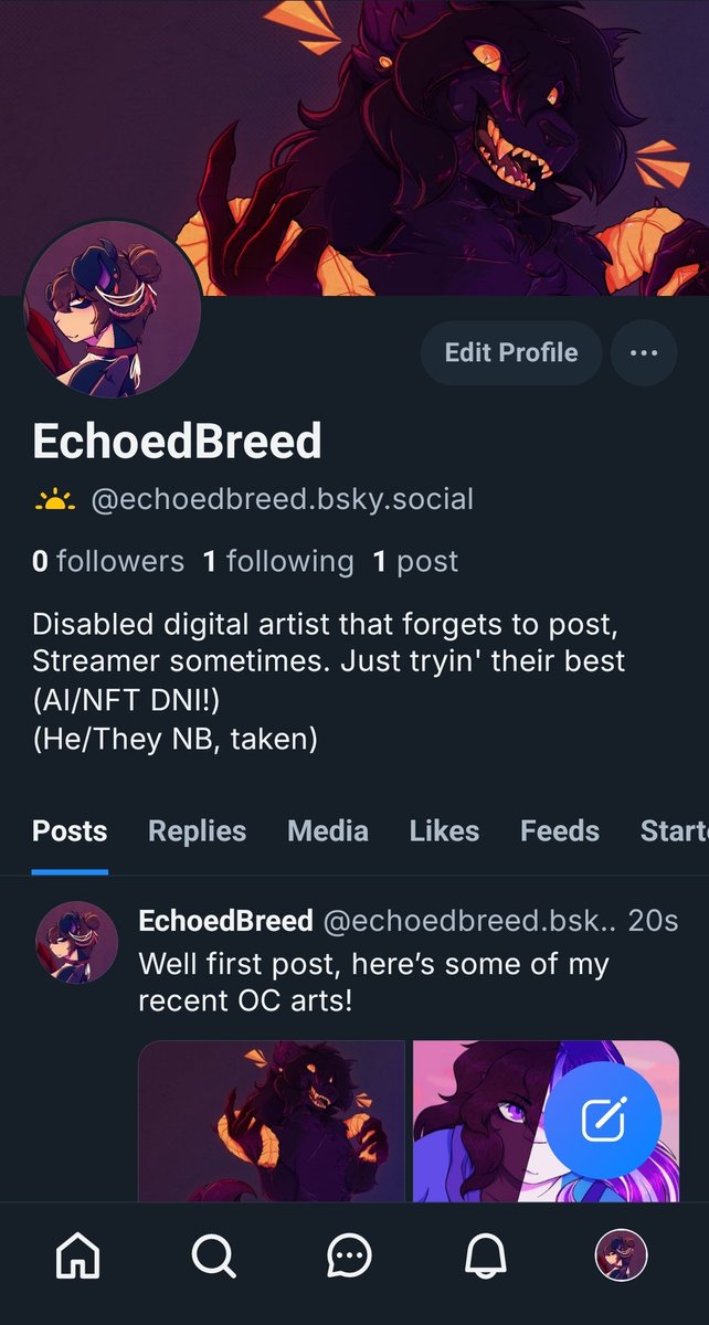 Echo | 🦋📌 tweet media