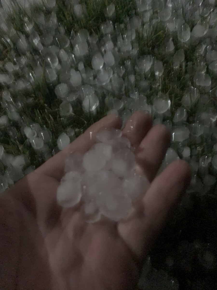 Scott Finnigan tweet media