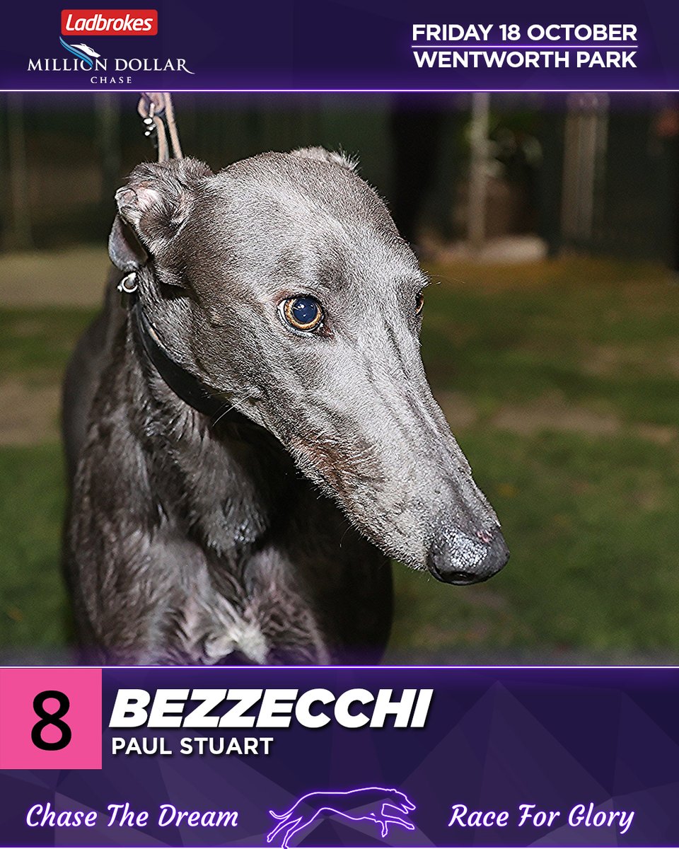 Who wins the 2024 <a href="/Ladbrokescomau/">Ladbrokes Australia</a> #milliondollarchase?

8. Bezzecchi
#TheHound says: Star WA speedster and he was phenomenal when scoring here two runs back in a mind blowing 29.12.

#thedogs #MDC #greyhoundracing <a href="/wentyparkgreys/">Wentworth Park Greyhounds</a> <a href="/RacingWAGreys/">Racing WA Greyhounds</a> <a href="/greyhounds_wa/">Greyhounds WA</a>