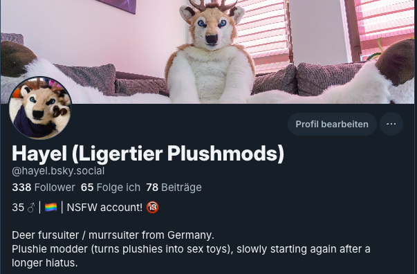 Hayel 🦌 (Ligertier Plushmods) tweet media