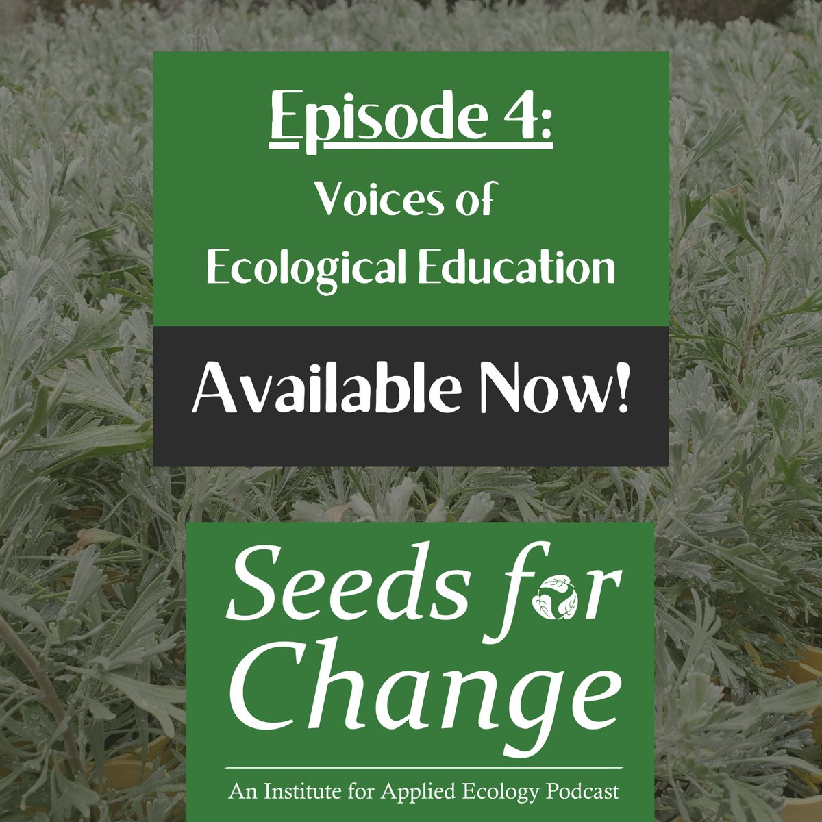 We're excited to be back with a new episode of our podcast Seeds for Change this month (Episode 4)—featuring the voices of our Ecological Education team!

Seeds for Change is available on Spotify, Amazon Music, and anywhere else you listen to podcasts.