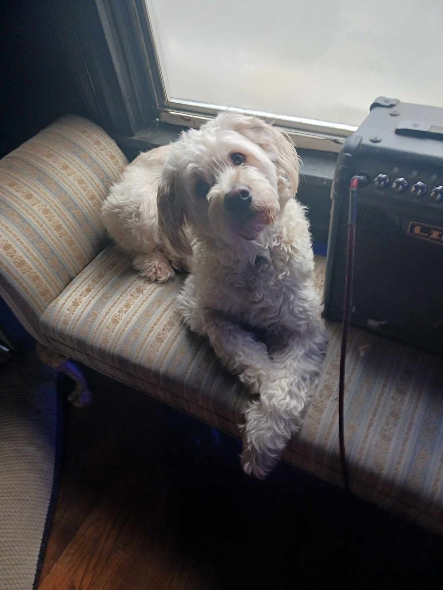 misstuesdayk's tweet photo. @VampireGhuleh Ted sends his love and wants you to know you are the bestest even when sometimes you don't feel good! ❤️❤️ https://t.co/M2VU3aGzG8