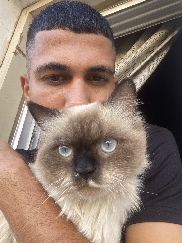 Osama_Gazaa's tweet photo. My friend Leo and I say good evening to you ❤️❤️. Send your love to my cat in a comment https://t.co/9dtgFiZNs3