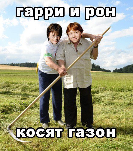 lisaogogo's tweet photo. @drsy10WSbjZ3Sho Здесь потрясающие в основном мемы, позвольте разбавлю их своими тупейшими но такими олдскульно-теплыми https://t.co/vWTswow4Ki