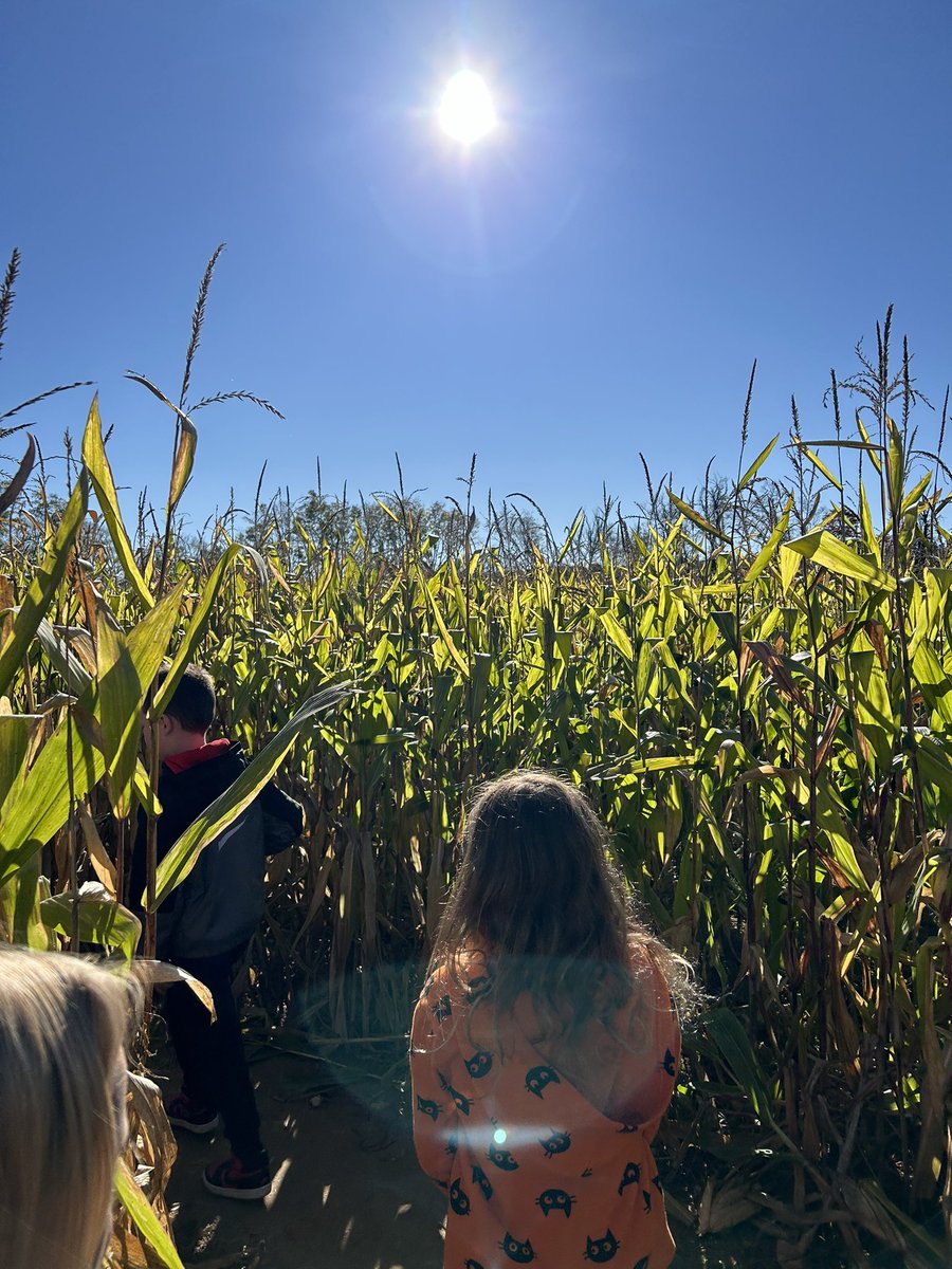 MrsCableNES's tweet photo. Busy day at Paulus! 🎃🌽 https://t.co/jBFPJoHQ0d