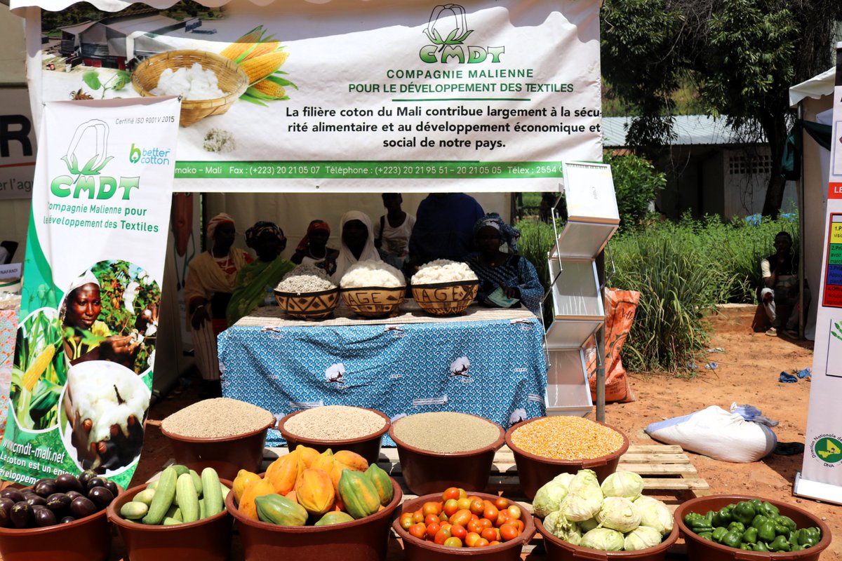 FAOMali's tweet photo. Fruits, légumes, matériels de maraichage et produits agricoles transformés étaient visibles dans les stands d'exposition. Au stand @FAOMali, la délégation ministérielle a échangé avec le personnel sur les cas d'investissement de l'Initiative #MainDansLaMain de @FAODG. #Mali https://t.co/2BGwsX7Jdh