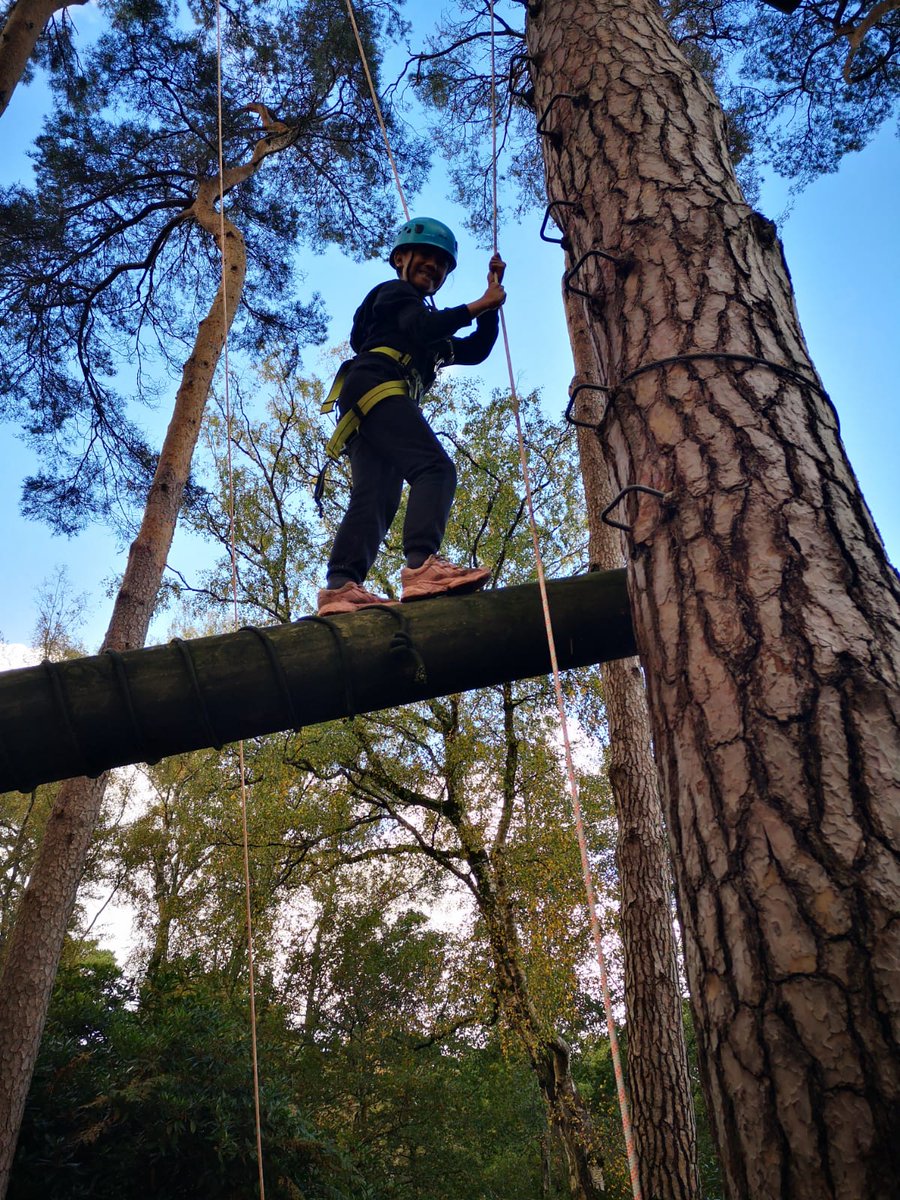 Group 5 high ropes