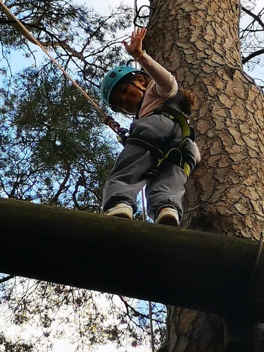 Group 5 high ropes