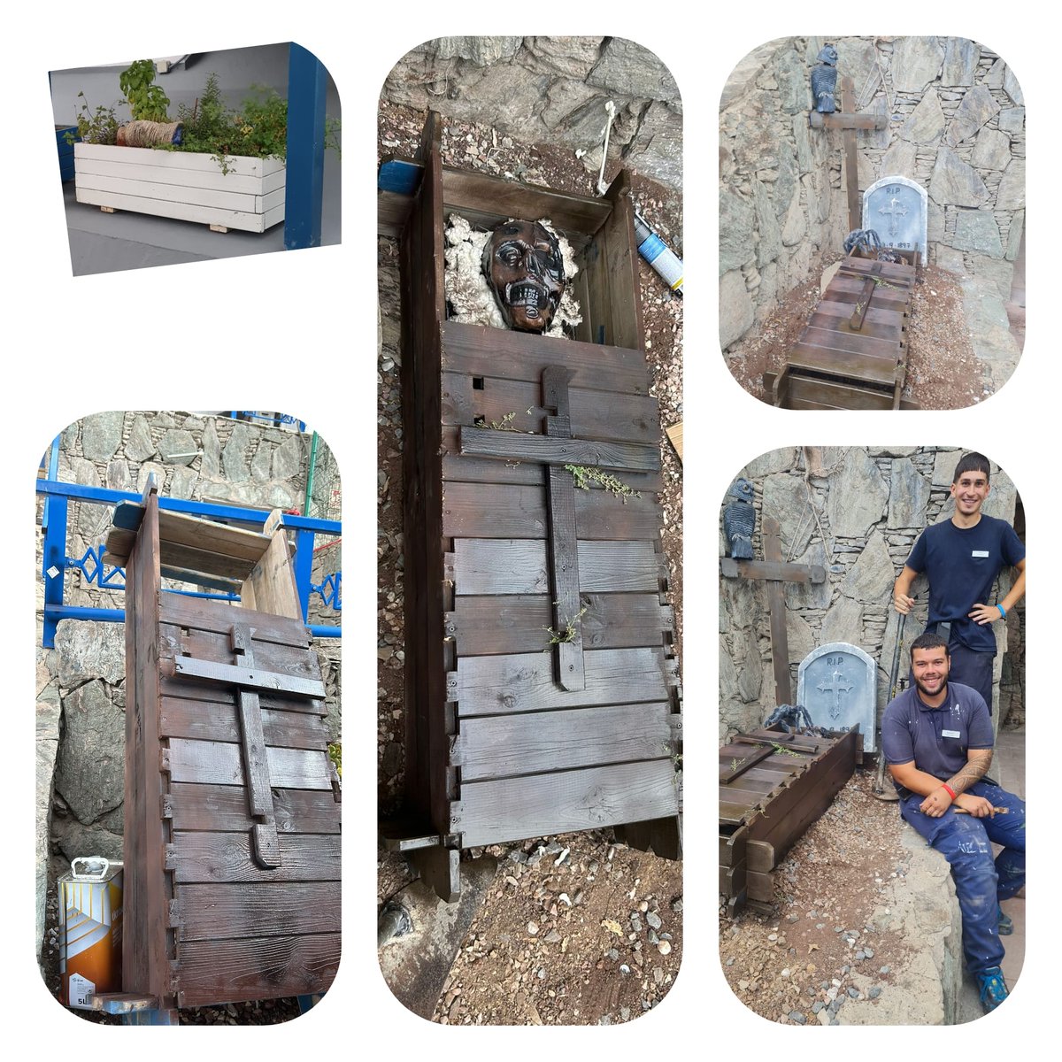 Arianna Arena tweet media