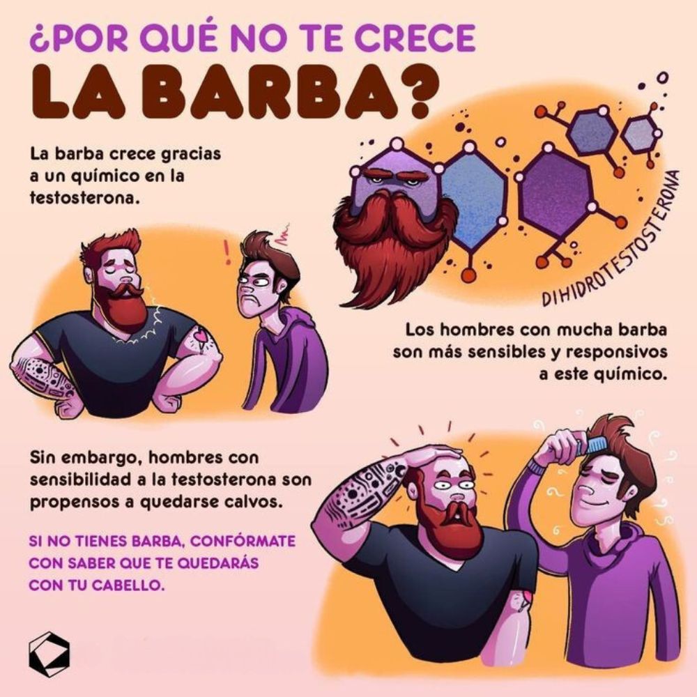EnsedeCiencia's tweet photo. ¡Mira, qué interesante! https://t.co/PvDFYWxg7q