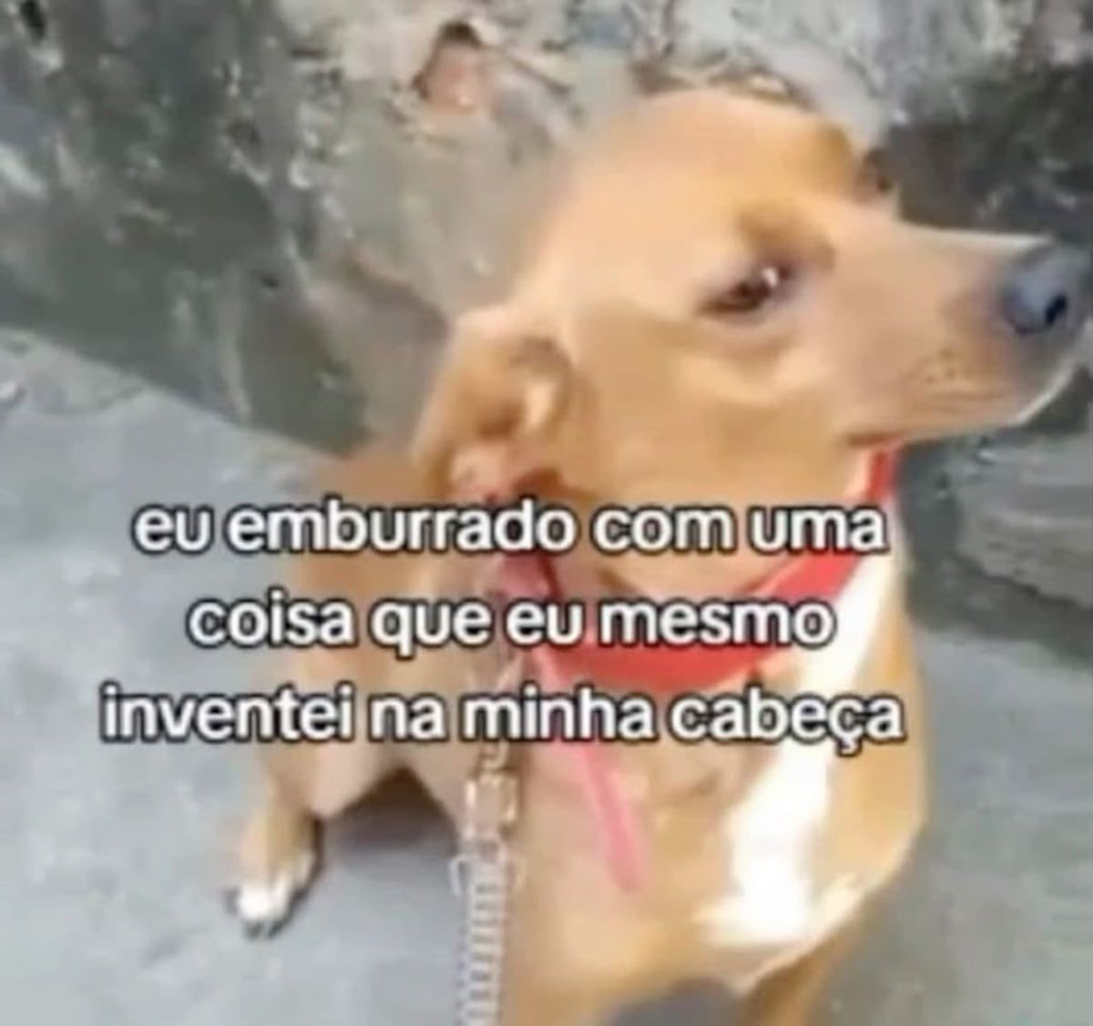 memes da vida (@memesdasuavida) on Twitter photo 