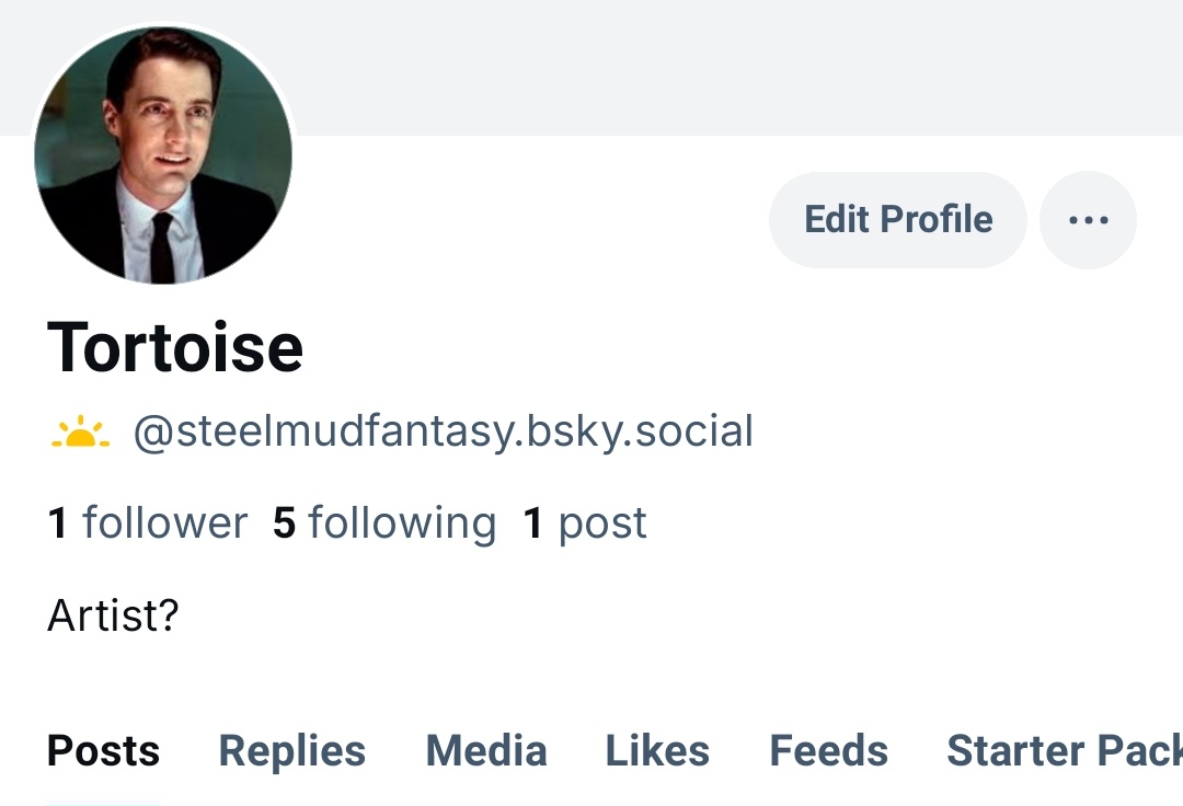 Turtle 🔱 tweet media