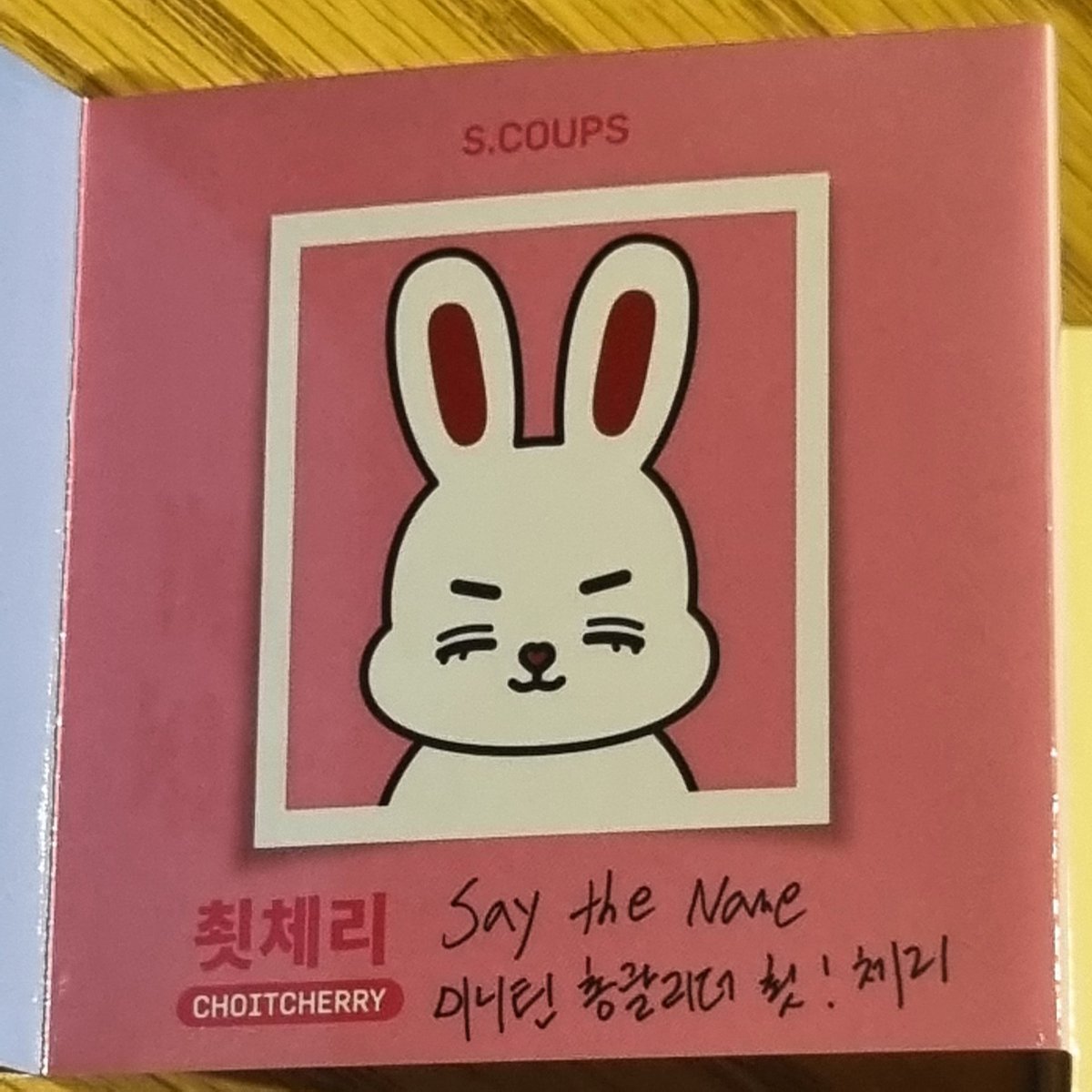 Miniteen Scoups Message 🍒: Say the name miniteen general leader