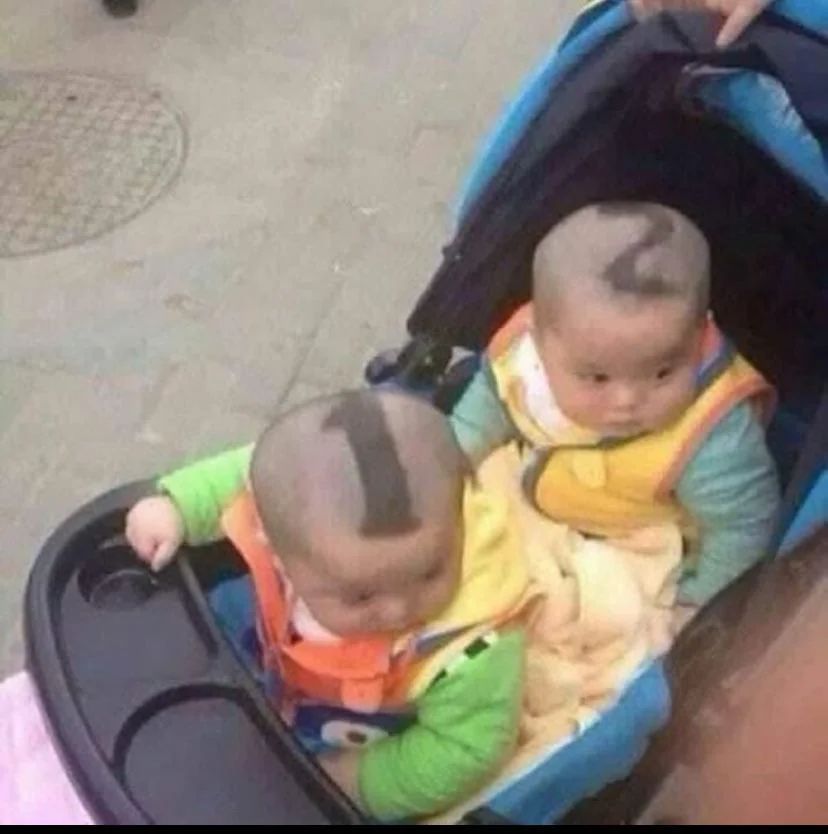 🕐HOURLY🕑 shitpost tweet media