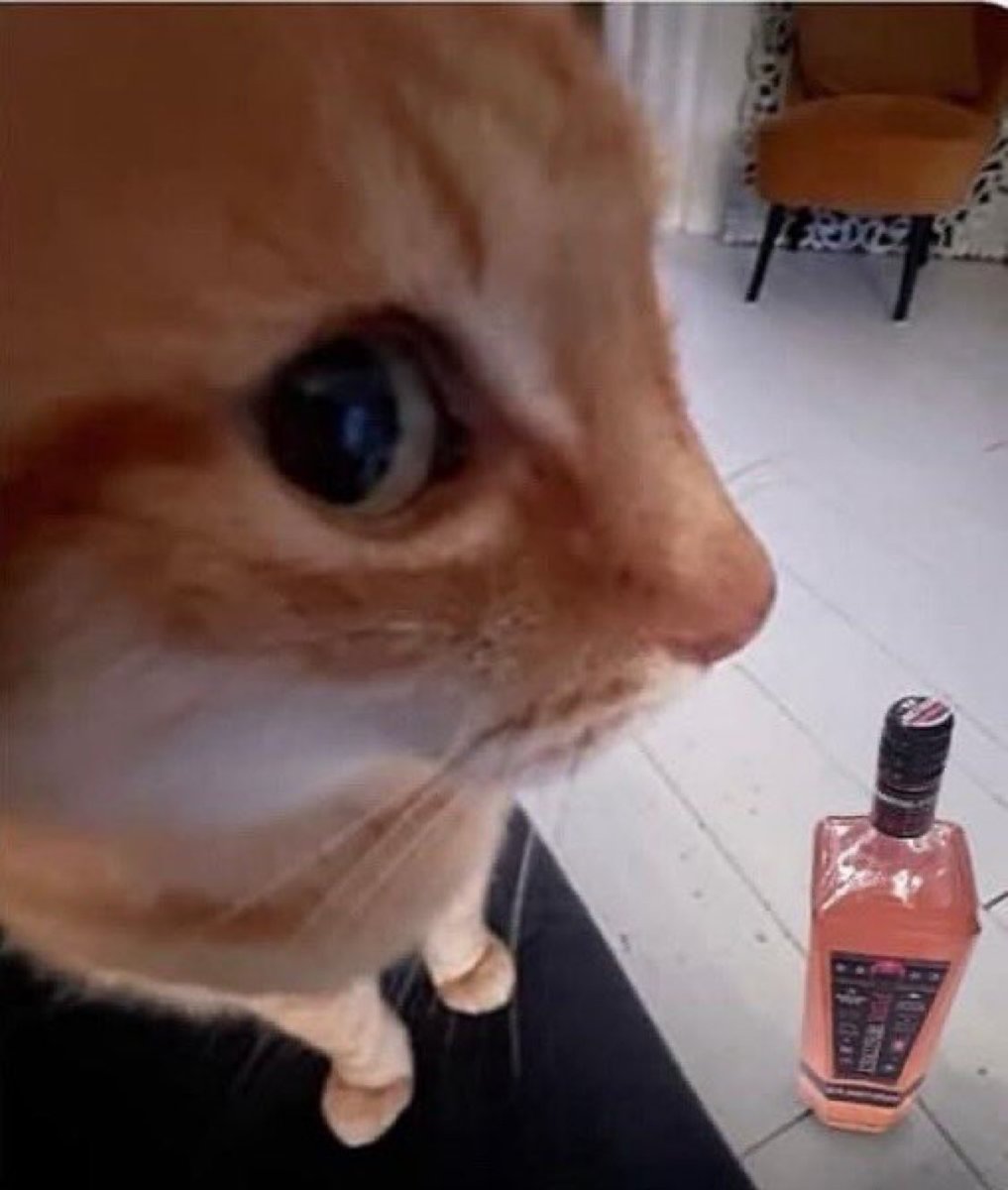 cinnamojju's tweet photo. juyeon asking changmin to come over on their wine nights https://t.co/7BydhNc9HZ