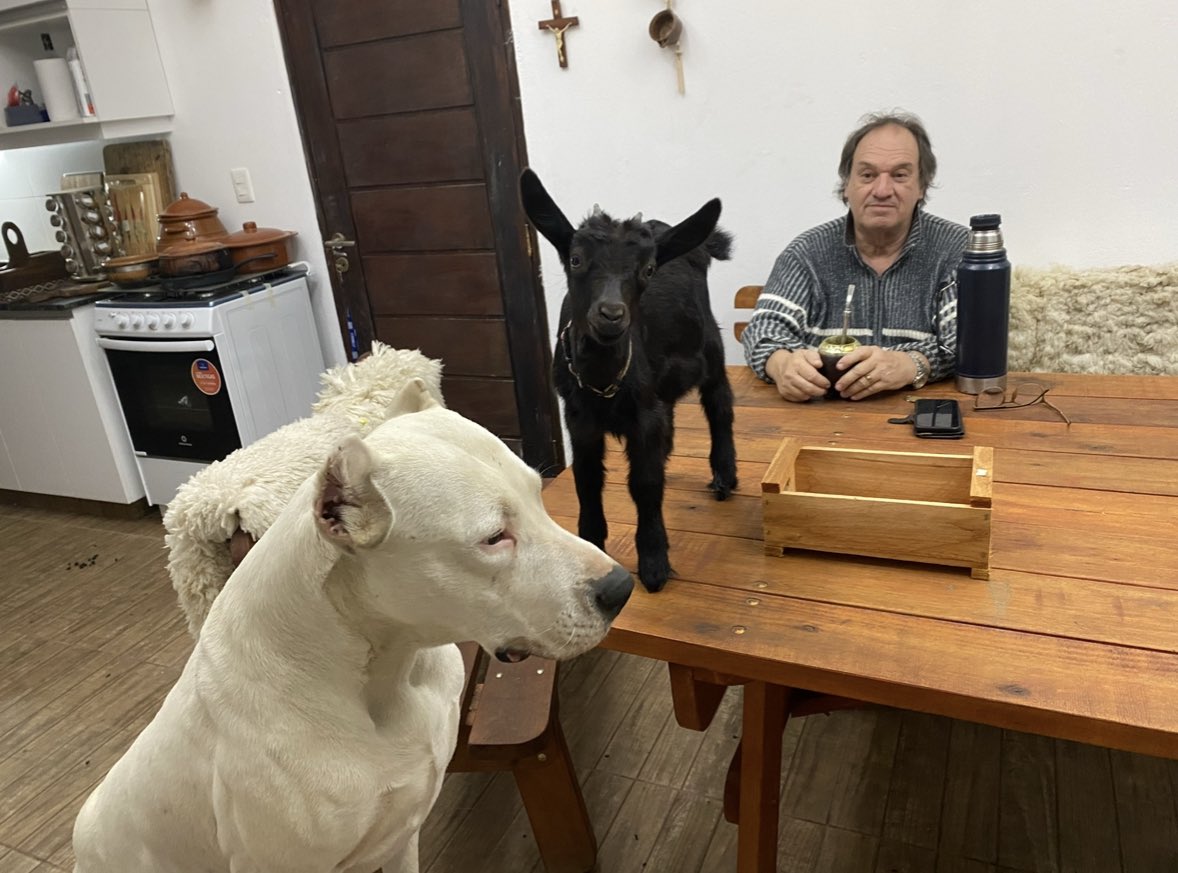 julietalust's tweet photo. Acá el Edu con cara de “¿Por qué no use protección allá en el 94?” Y ahora tiene una hija que le lleva cualquier bicherio a la casa 😅
La culpa no es del chancho dicen https://t.co/pPHwxluNFF