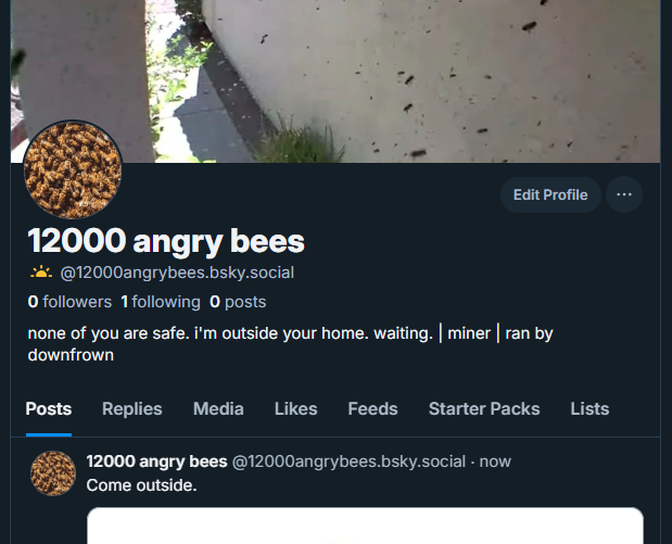 12000 angry bees (@12000angrybees) / Posts / X