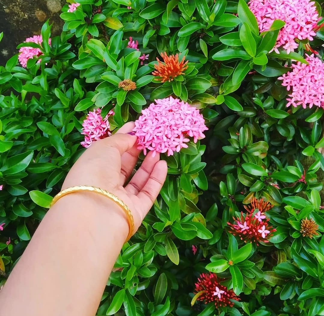 _SURYA____'s tweet image. കൈ വിറ്റ് #handmodel ആയാലോന്നുണ്ട് 😌
കൈ പിക്സ് വേണ്ടവർ dm ൽ ബന്ധപ്പെടുക 😌
ശുഭദിനം 𝗕𝗲𝗮𝘂𝘁𝗶𝗳𝘂𝗹 𝗣𝗲𝗼𝗽𝗹𝗲 😍😍