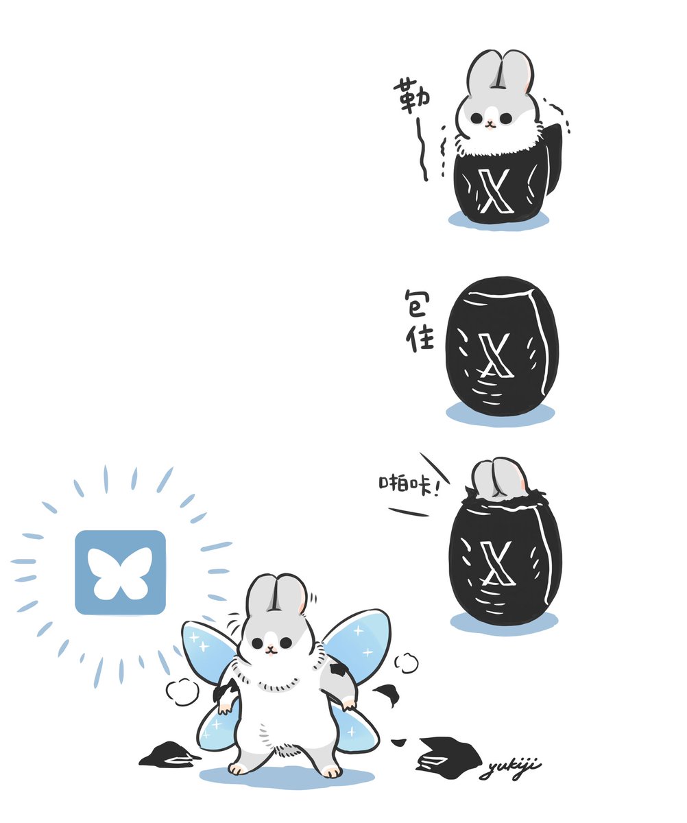 ⚫️💥🦋✨