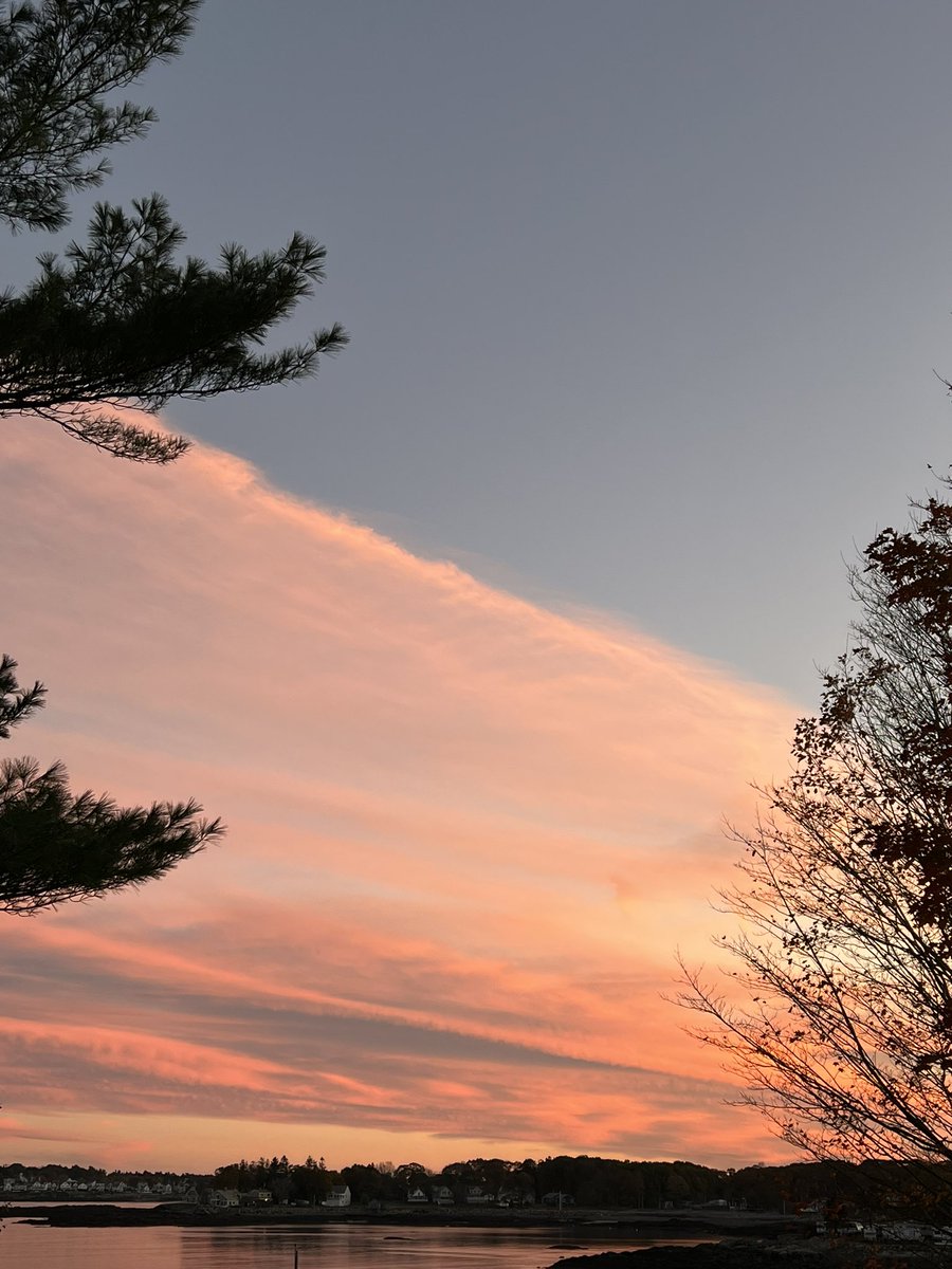 nycpw's tweet image. Good evening, Maine. 🧡
#Maine #MaineLife