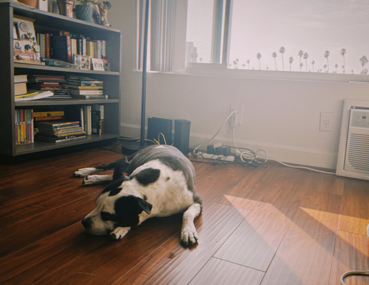 Irene 👹 tweet media