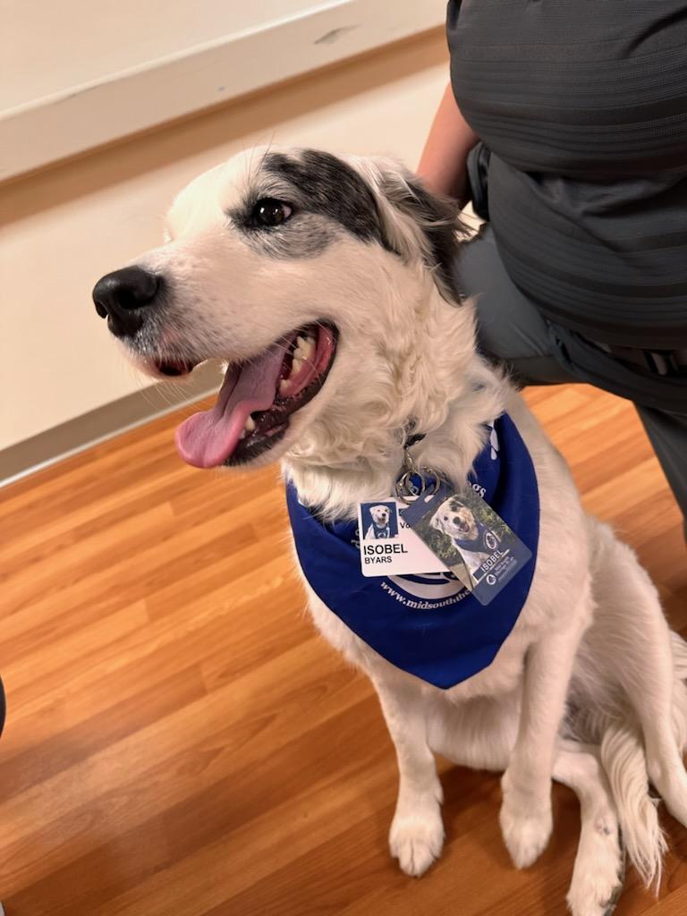 DelynnByars's tweet photo. @bunsenbernerbmd Therapy dog work is so rewarding! Archer and Isobel love their visits! https://t.co/sQTzBJaOeD