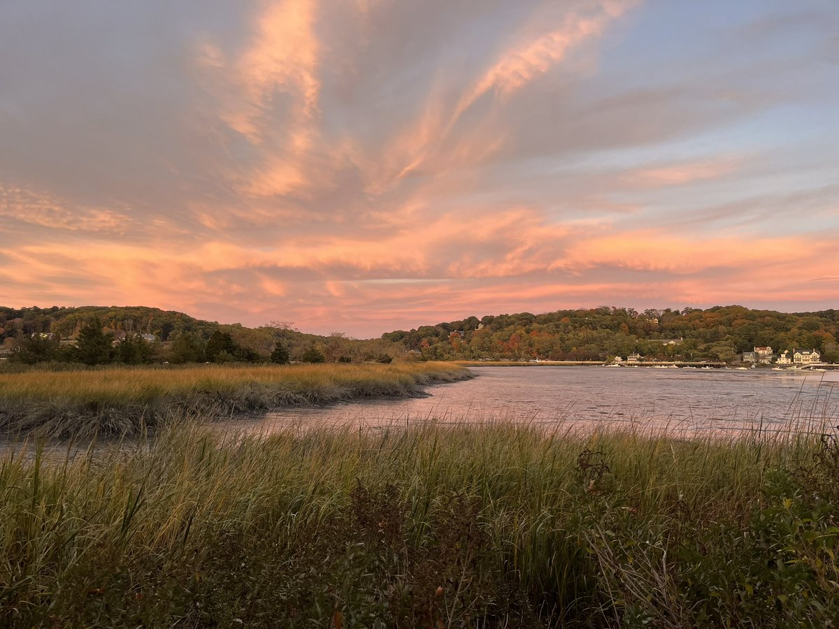 KaniaHannah's tweet photo. took a walk to the beach, @CSHL is breathtaking. lots of energy left after today’s invigorating talks 🧬 #cshlTE24 https://t.co/c5ykAv7ztG