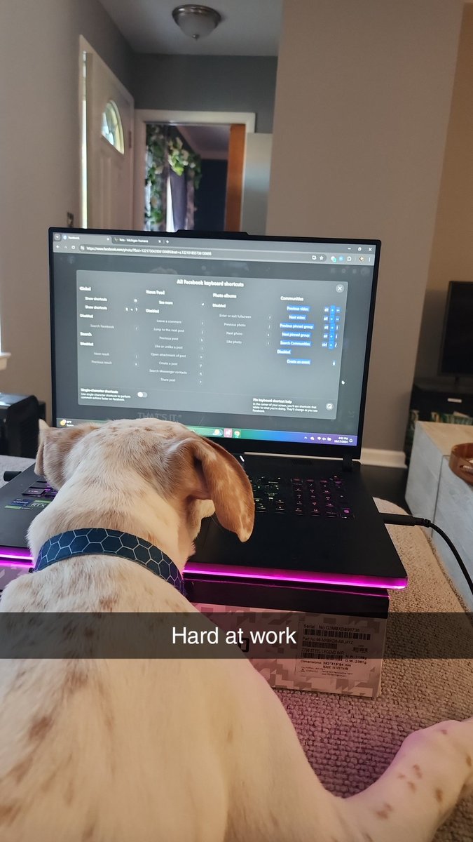 Shout out to my assistant, always hard at work