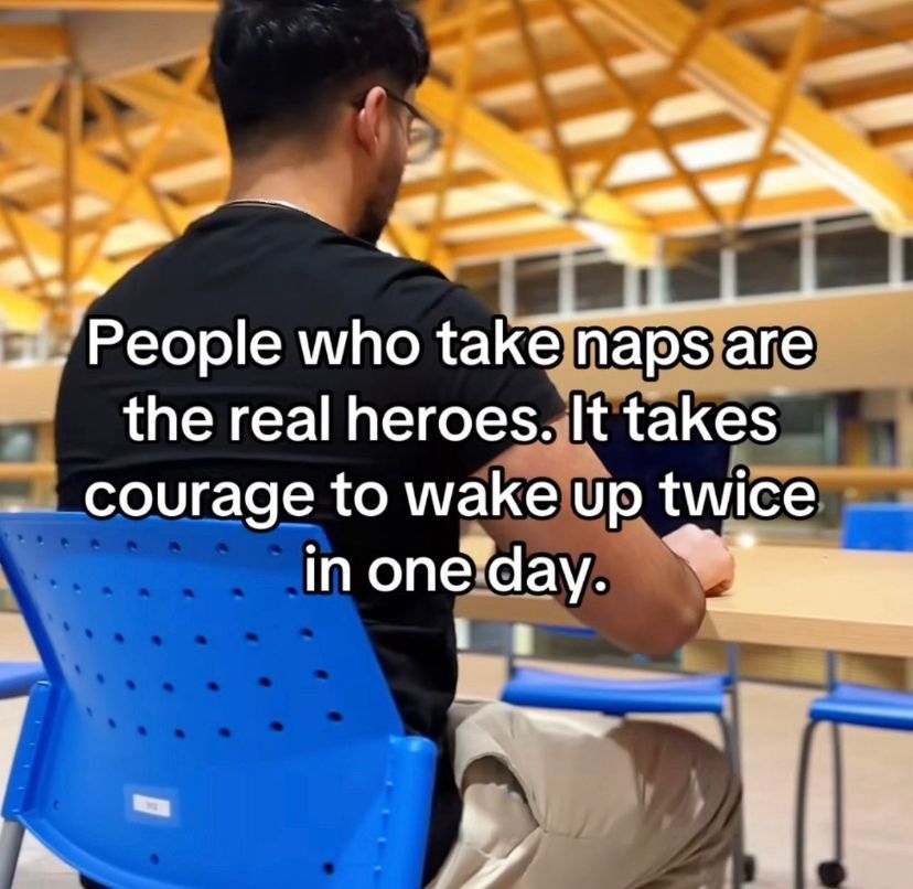 Wild TikToks (@wildtiktokss) on Twitter photo 