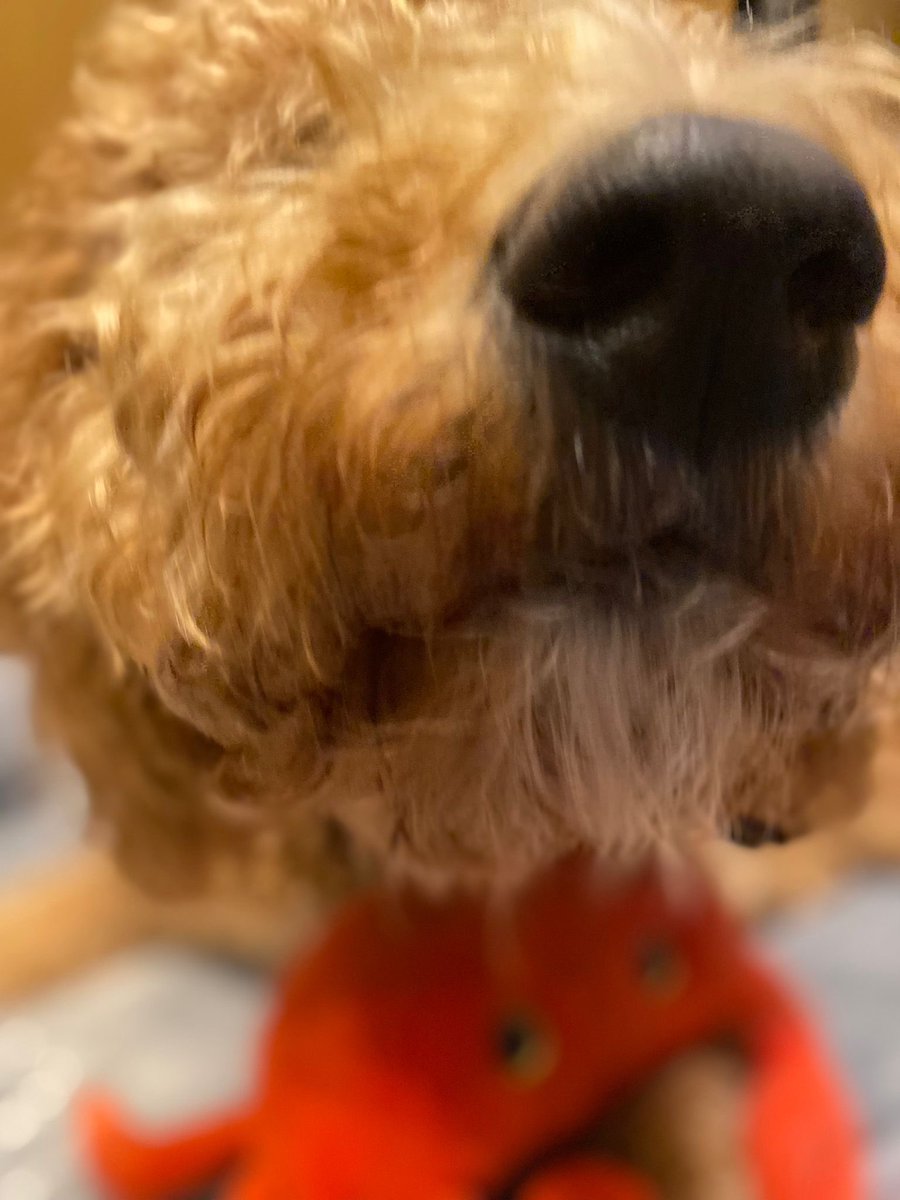 Rachel Shelley 💙🇺🇦 tweet media