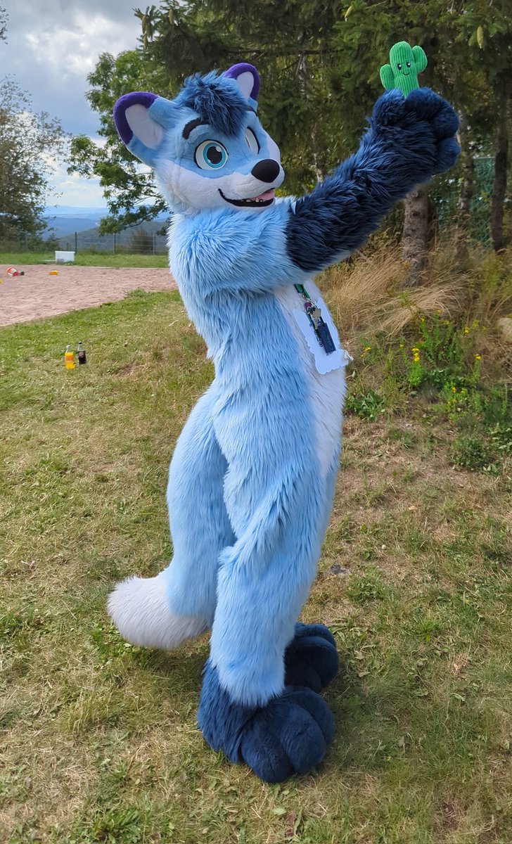 Kasco found his favourite cactus for #FursuitFriday 

📍 Ringberghotel, #EAST12
🦊 <a href="/FoxKasco/">Kasco | @kasco.bsky.social</a>