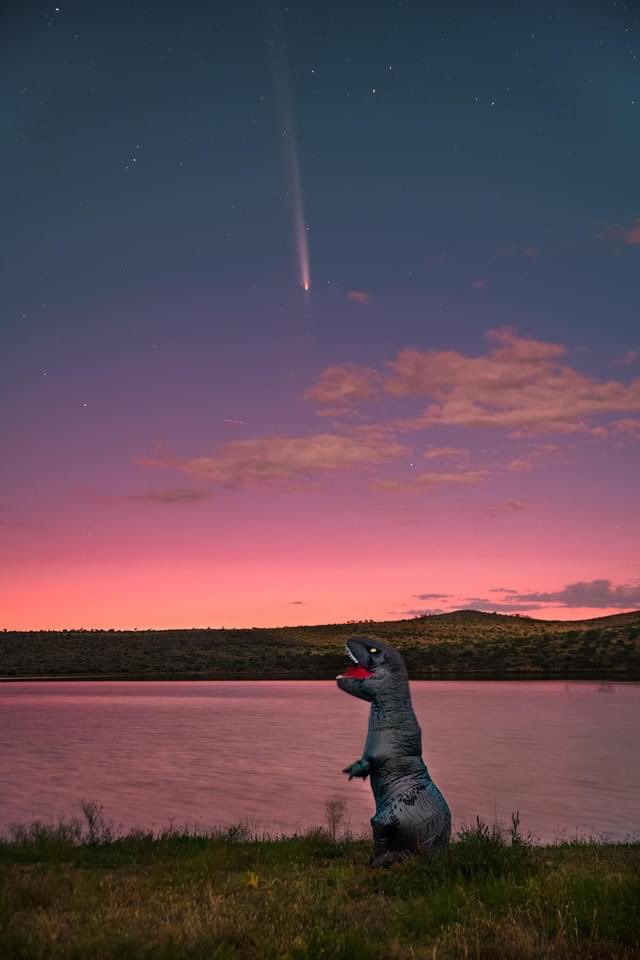 ☘️𝕃𝕦𝕔𝕜𝕪 Ƒʉͫcͧкͭιͪηͣ 𝕄𝕔𝔾𝕖𝕖 (@luckymcgee) on Twitter photo Best comet pics yet. 🤣 ☄️ Best comet pics yet. 🤣 ☄️