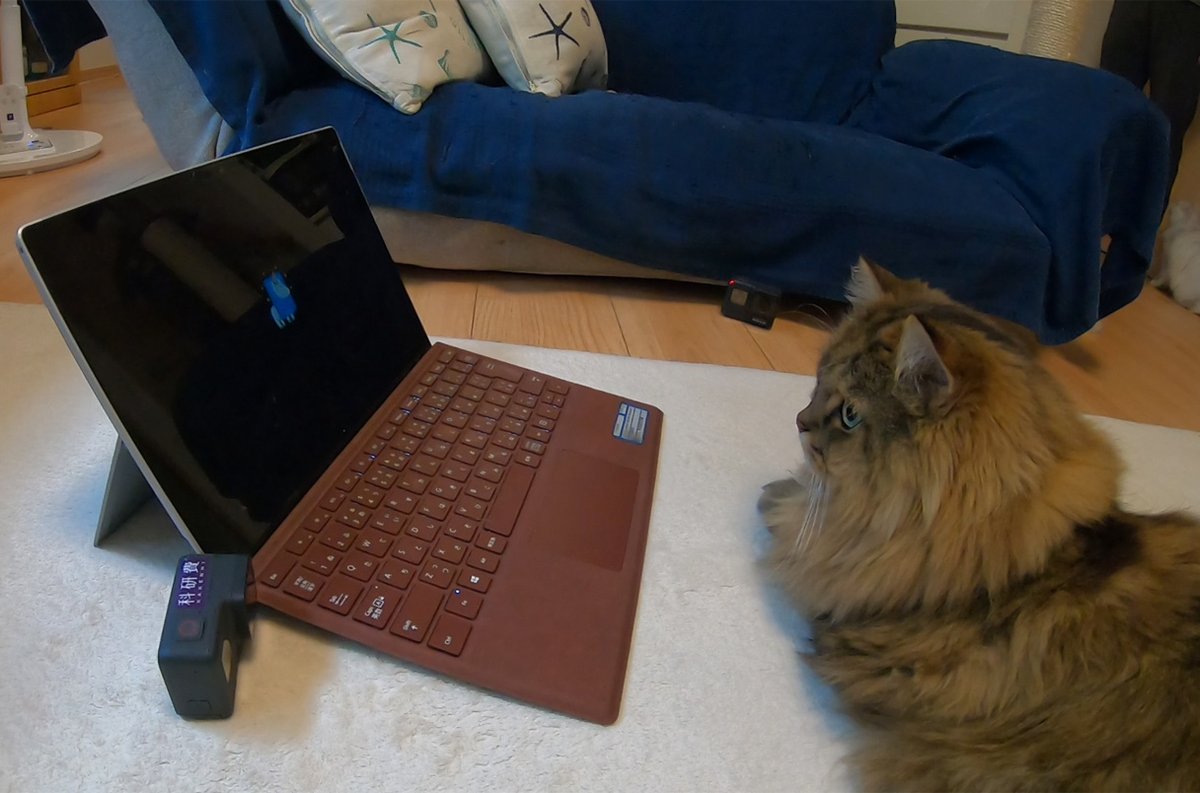 Christie Wilcox (@nerdychristie) on Twitter photo Now that I think about it, I'm not surprised at all that cats learn words as easily as babies do, if not more so—and they just don't let us know what they know. That and more of the best in <a href="/ScienceMagazine/">Science Magazine</a> and science in this edition of #ScienceAdviser: science.org/content/articl… Now that I think about it, I'm not surprised at all that cats learn words as easily as babies do, if not more so—and they just don't let us know what they know. That and more of the best in <a href="/ScienceMagazine/">Science Magazine</a> and science in this edition of #ScienceAdviser: science.org/content/articl…