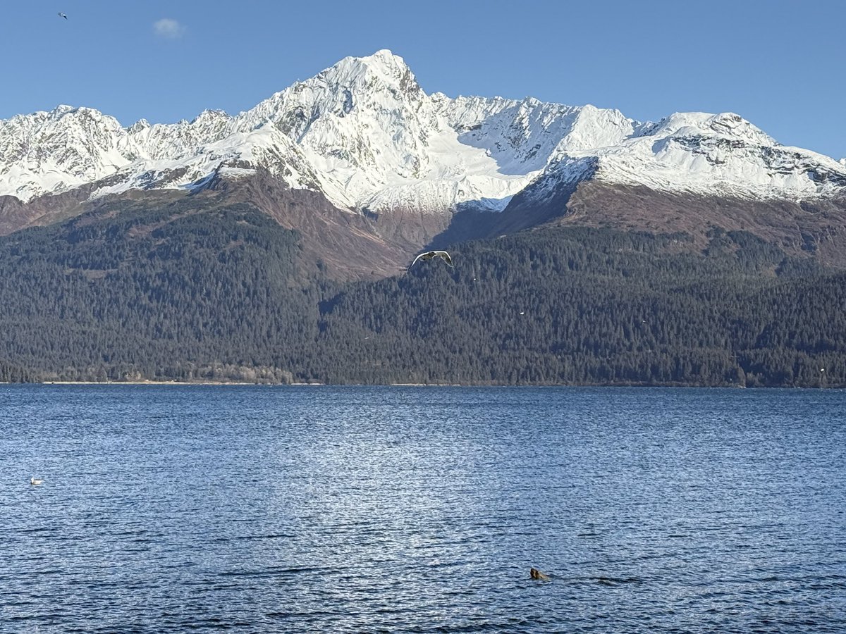 jakecdye's tweet photo. I’ve never had a bad day in Seward https://t.co/EnyiYqPqqk